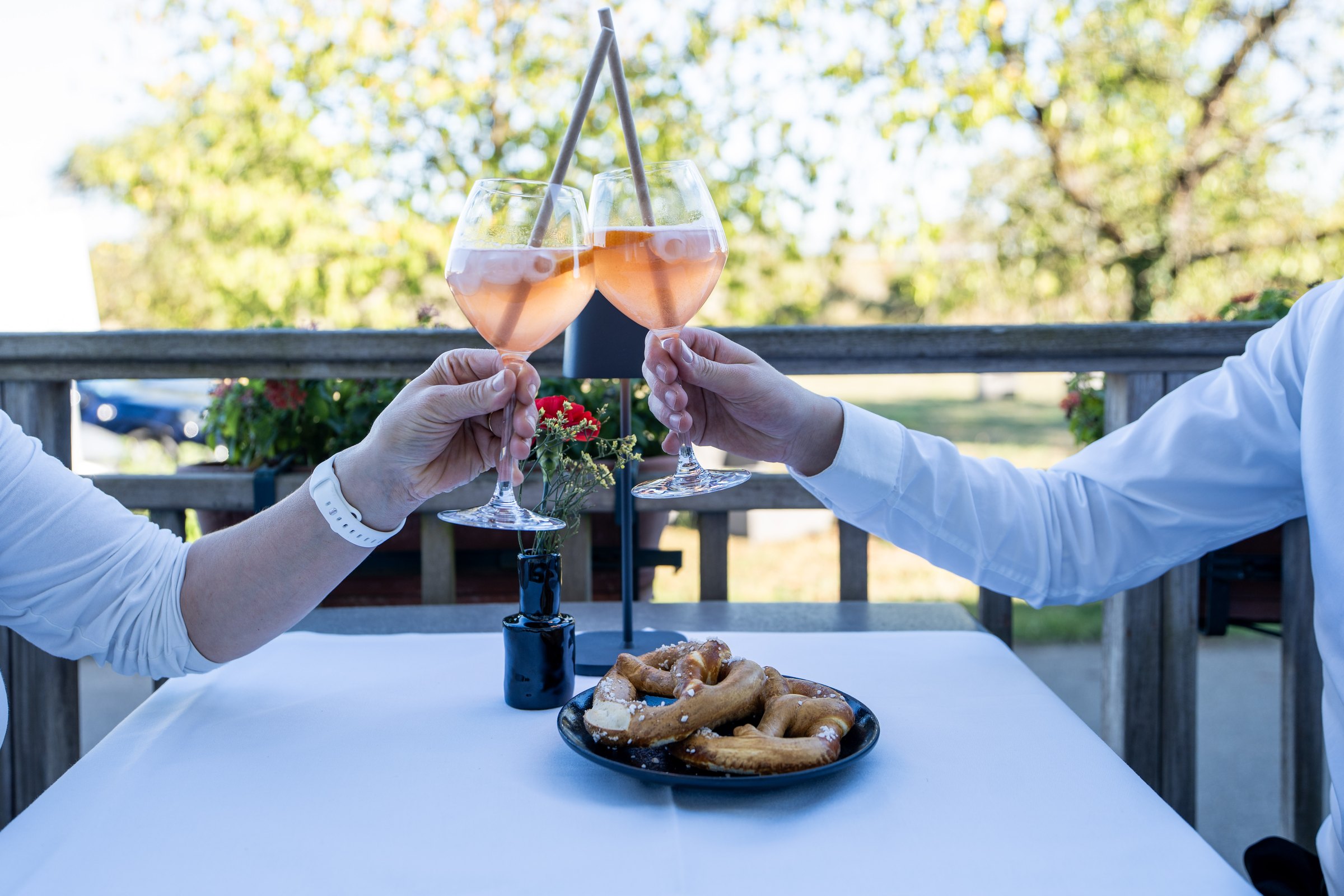 Guests raising glasses of rosé on the terrace